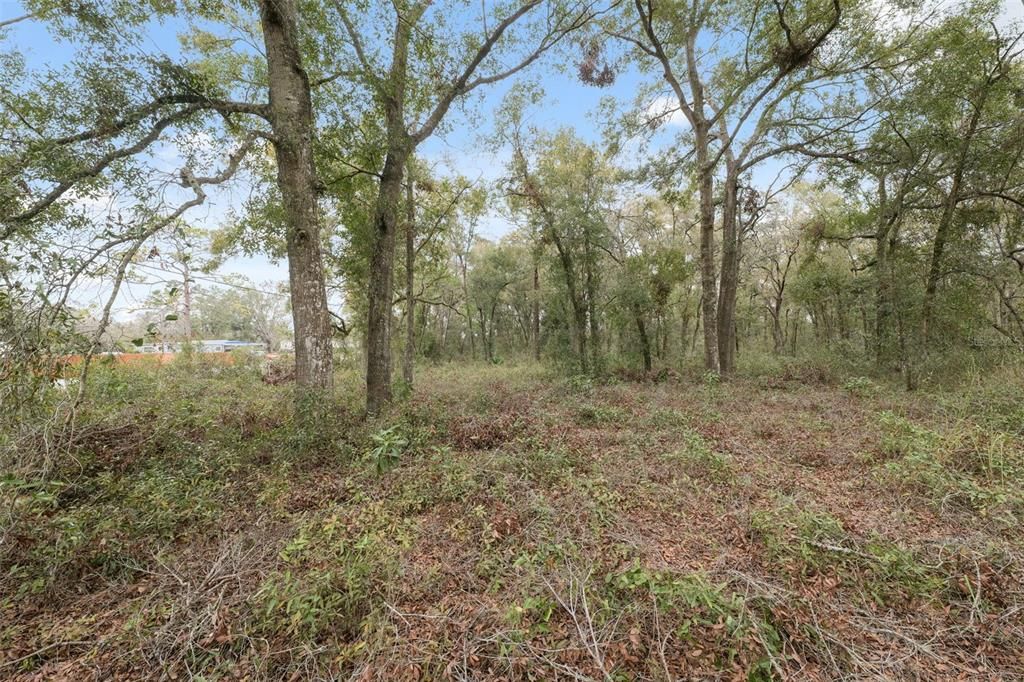 For Sale: $375,000 (2.38 acres)