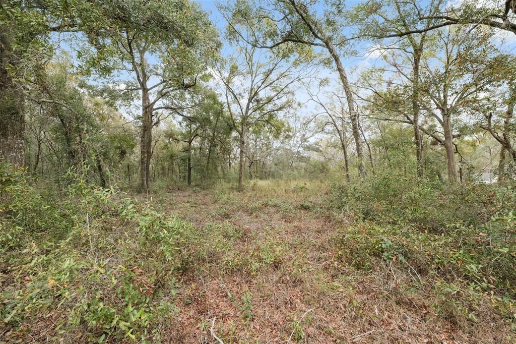 For Sale: $375,000 (2.38 acres)