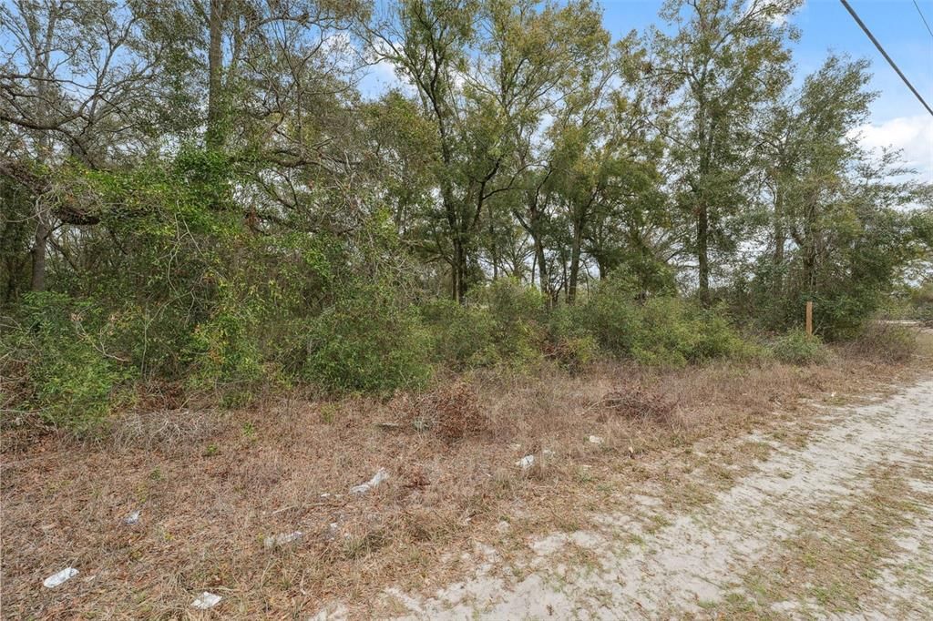 For Sale: $375,000 (2.38 acres)