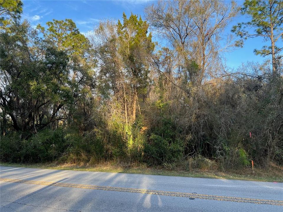 For Sale: $30,000 (1.16 acres)