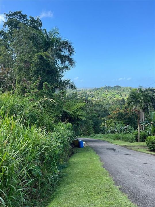 На продажу: $250,000 (4.85 acres)