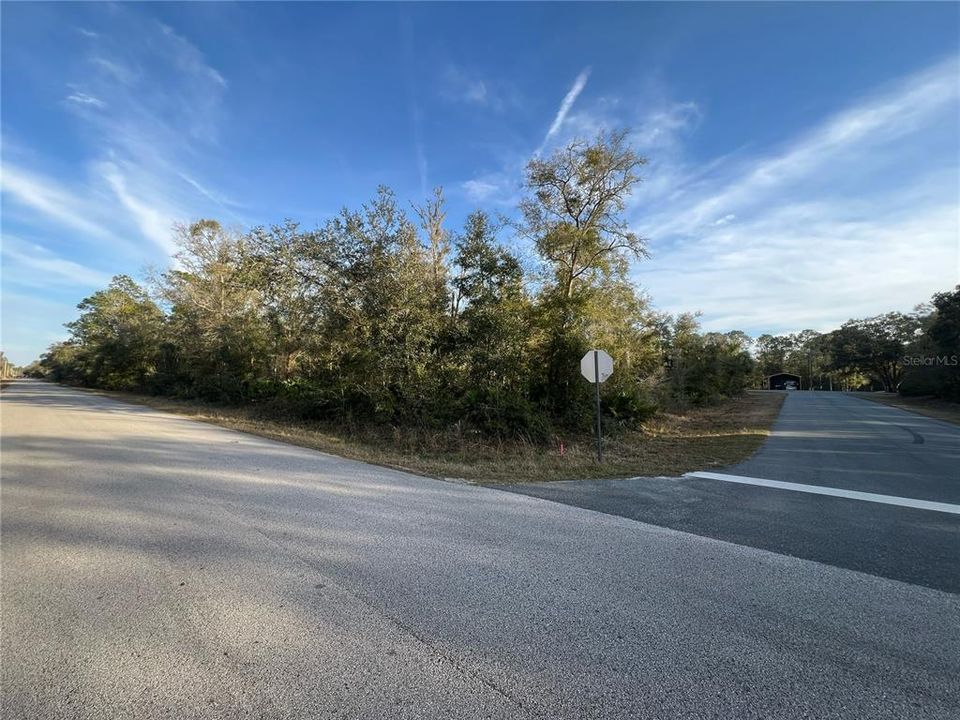 待售: $45,000 (1.25 acres)