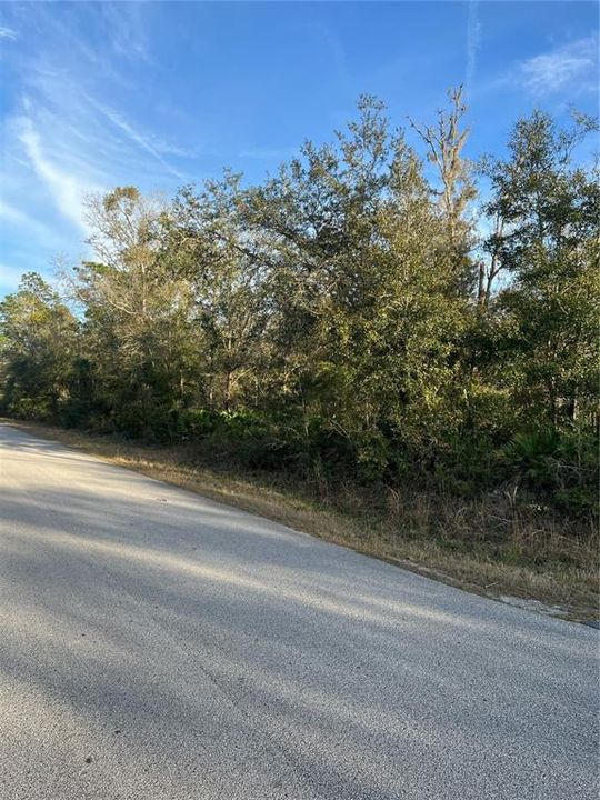 待售: $45,000 (1.25 acres)