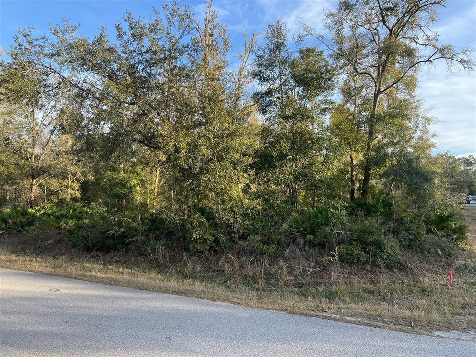 待售: $45,000 (1.25 acres)