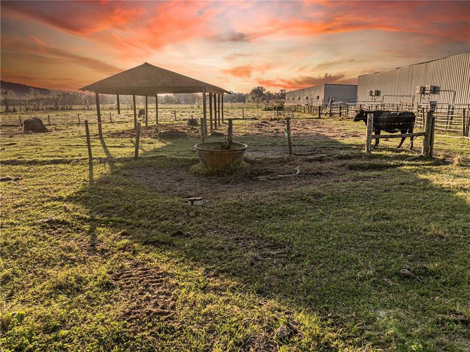 For Sale: $6,000,000 (35.00 acres)