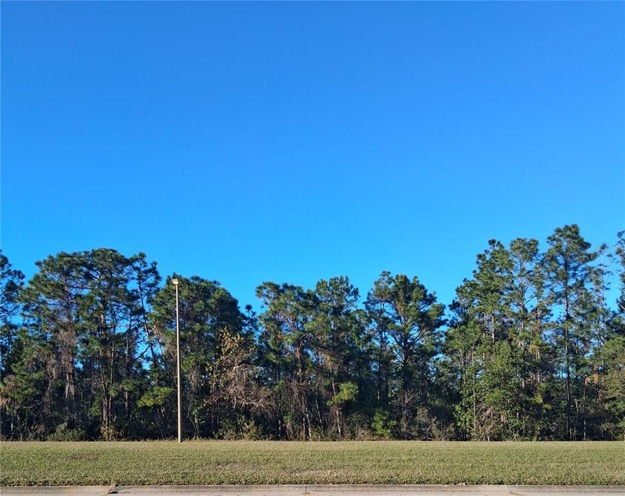 待售: $849,000 (1.40 acres)