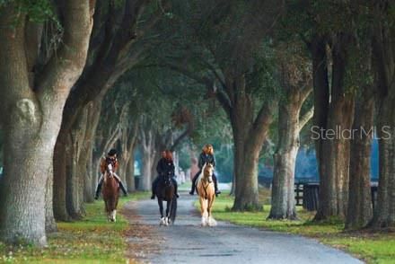 待售: $1,148,626 (30.63 acres)