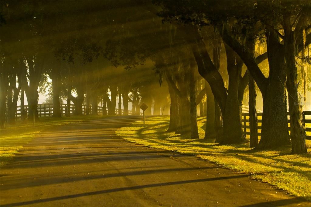 待售: $1,148,626 (30.63 acres)