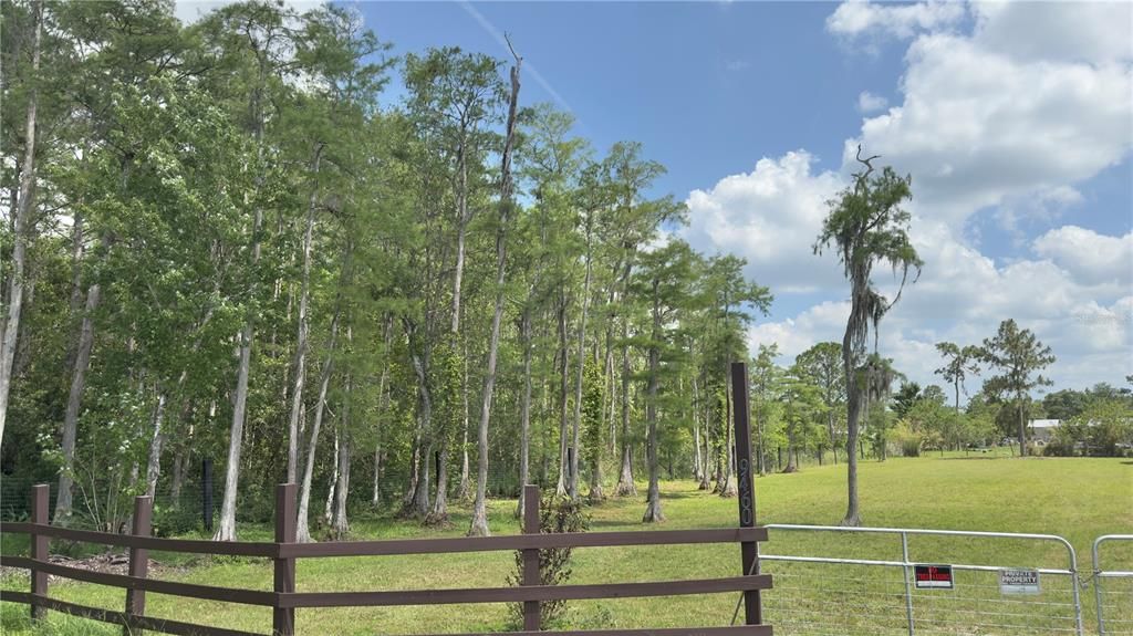 For Sale: $115,000 (0.92 acres)