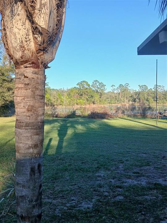 На продажу: $280,000 (3 спален, 2 ванн, 1456 Квадратных фут)