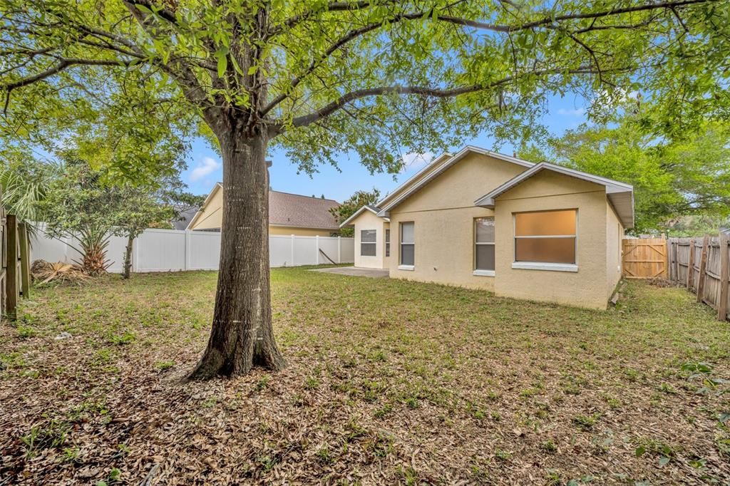 Activo con contrato: $2,200 (3 camas, 2 baños, 1253 Pies cuadrados)