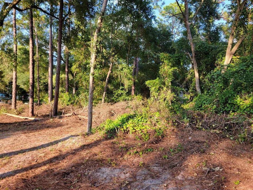 For Sale: $29,000 (0.11 acres)