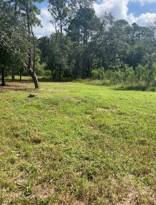 待售: $99,000 (1.25 acres)