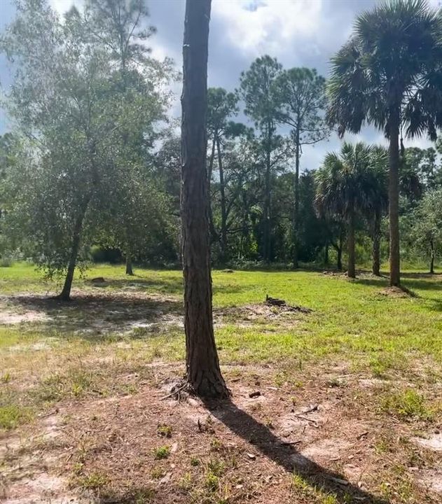 待售: $99,000 (1.25 acres)