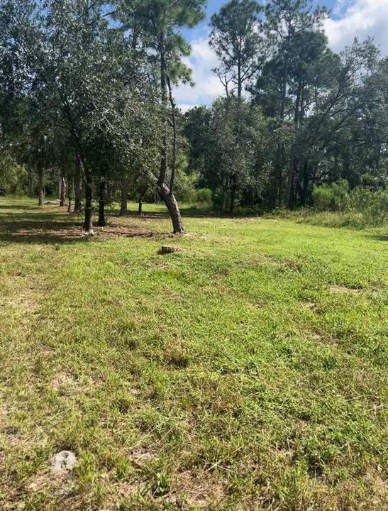 待售: $99,000 (1.25 acres)