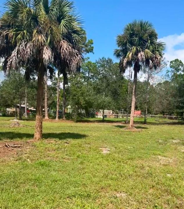 待售: $99,000 (1.25 acres)