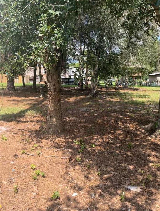 待售: $99,000 (1.25 acres)