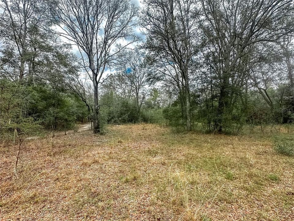 最近售出: $135,000 (10.01 acres)