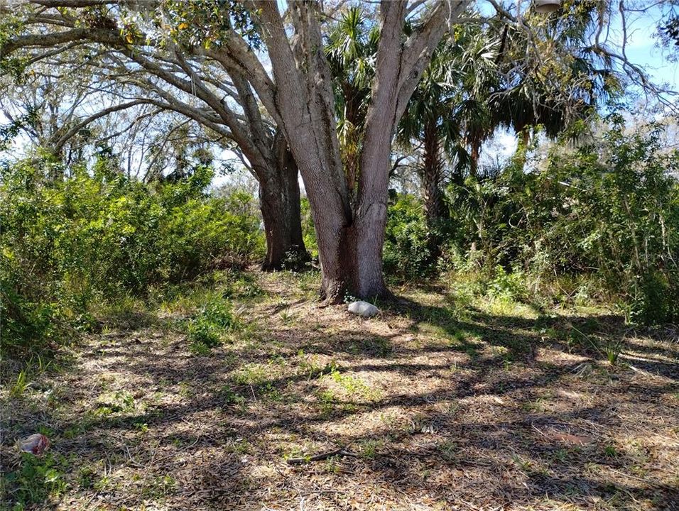 Recently Sold: $32,900 (0.18 acres)