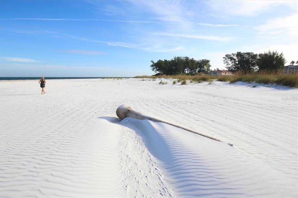 出租: $5,500 (3 贝兹, 2 浴室, 1482 平方英尺)