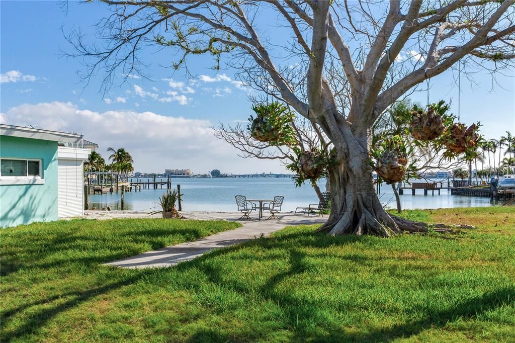 На продажу: $1,650,000 (0.31 acres)