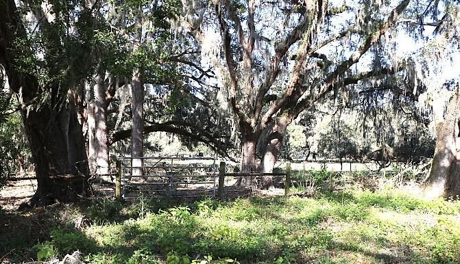 En Venta: $190,000 (5.00 acres)