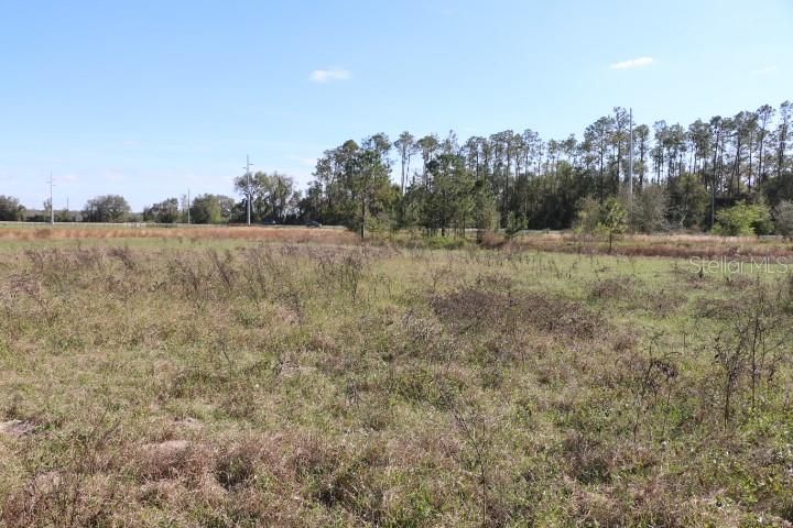 En Venta: $190,000 (5.00 acres)