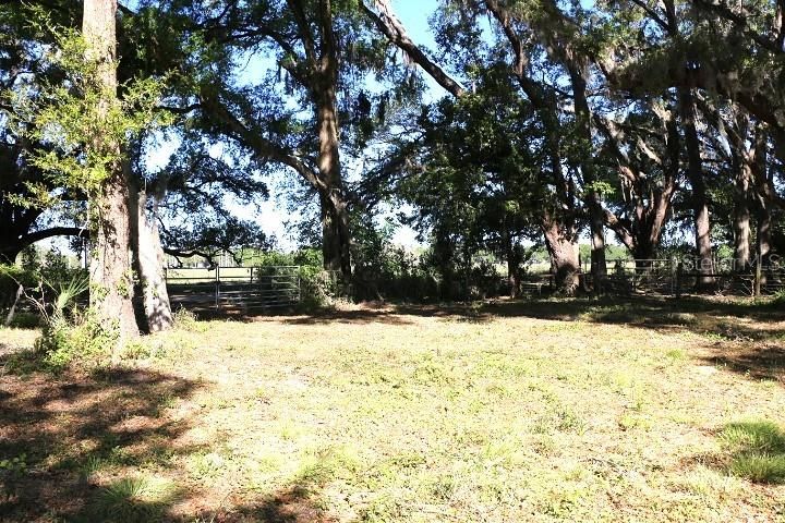 En Venta: $190,000 (5.00 acres)