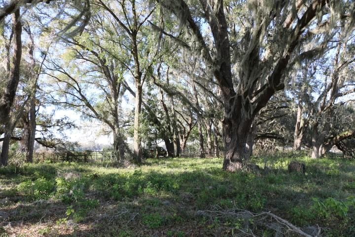 En Venta: $190,000 (5.00 acres)