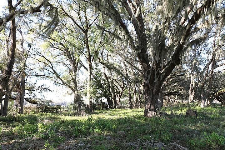 En Venta: $190,000 (5.00 acres)