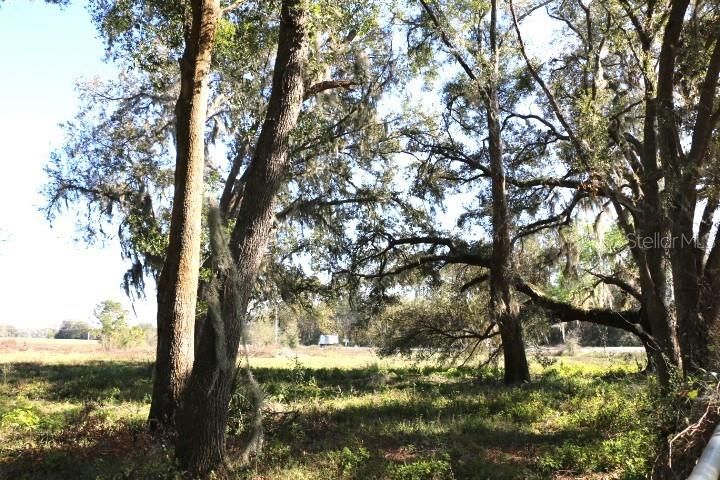 En Venta: $190,000 (5.00 acres)