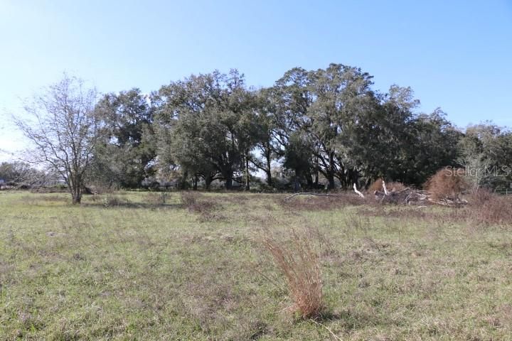 En Venta: $190,000 (5.00 acres)