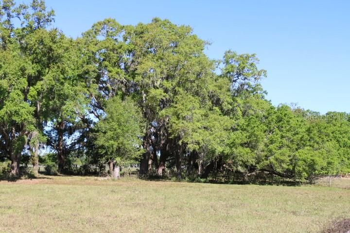 En Venta: $190,000 (5.00 acres)