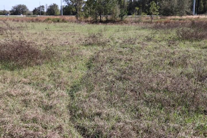 En Venta: $190,000 (5.00 acres)