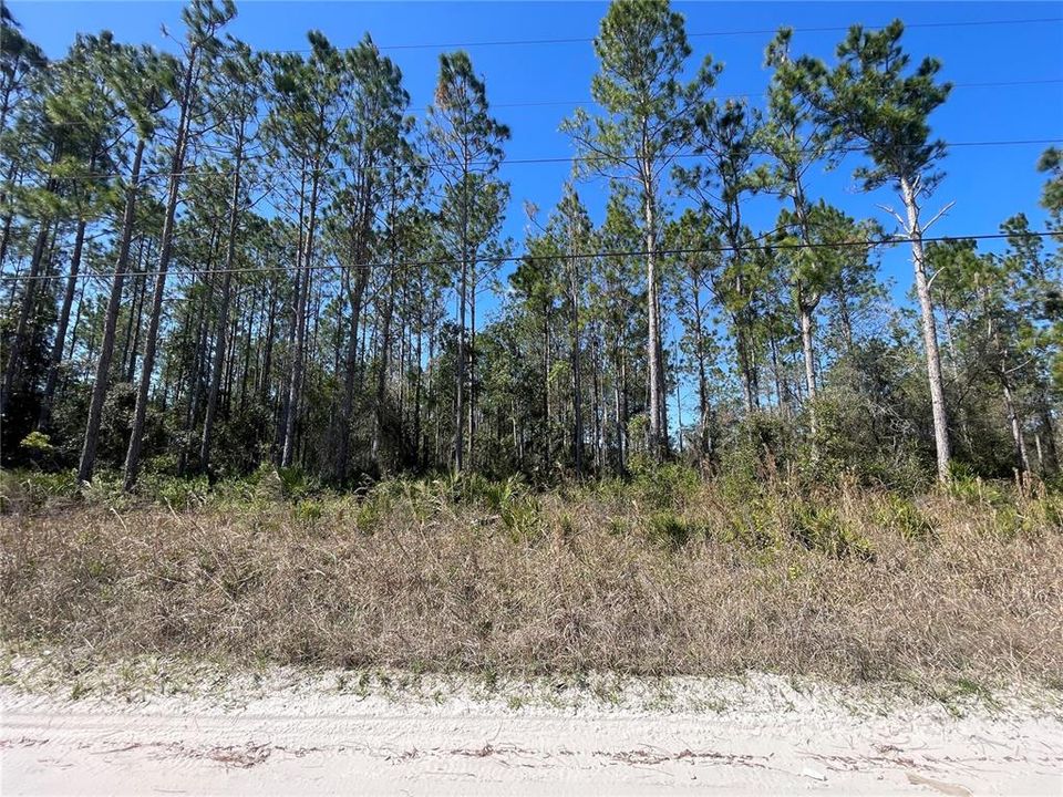 En Venta: $399,999 (25.01 acres)