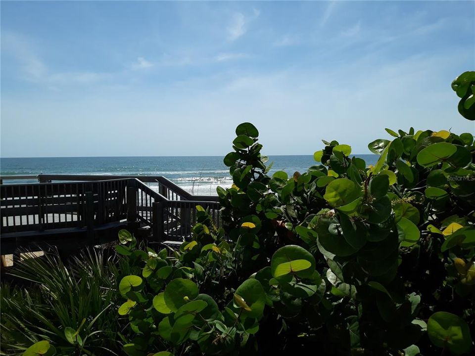 En Renta: $2,400 (2 camas, 2 baños, 1156 Pies cuadrados)