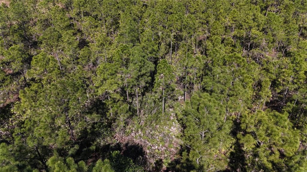 For Sale: $279,000 (5.00 acres)