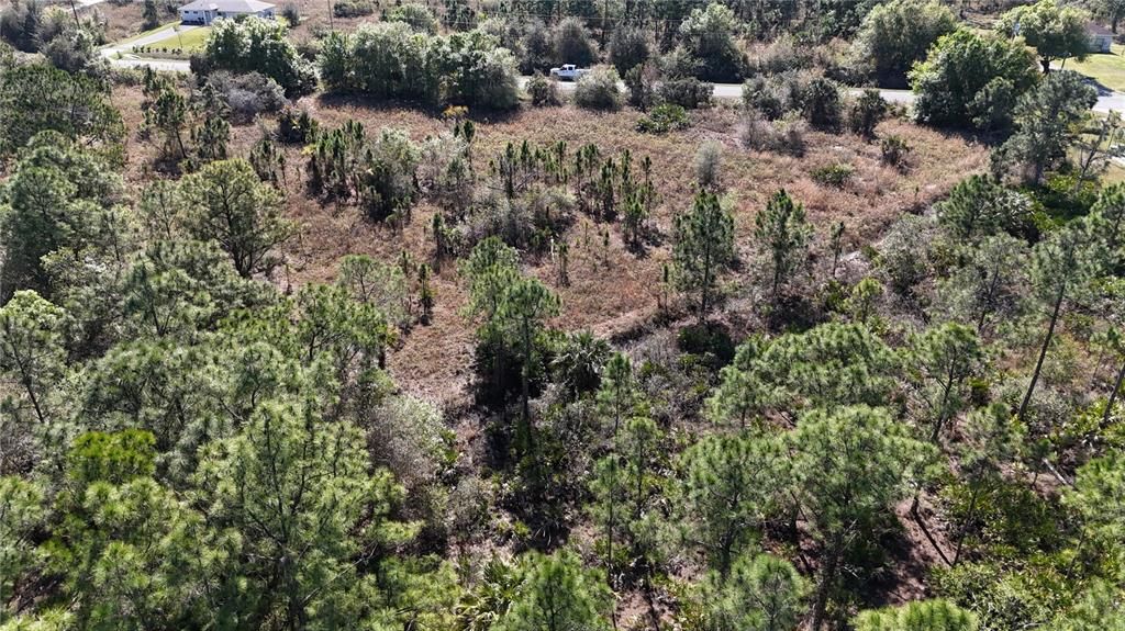 For Sale: $279,000 (5.00 acres)