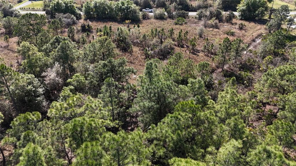 For Sale: $279,000 (5.00 acres)