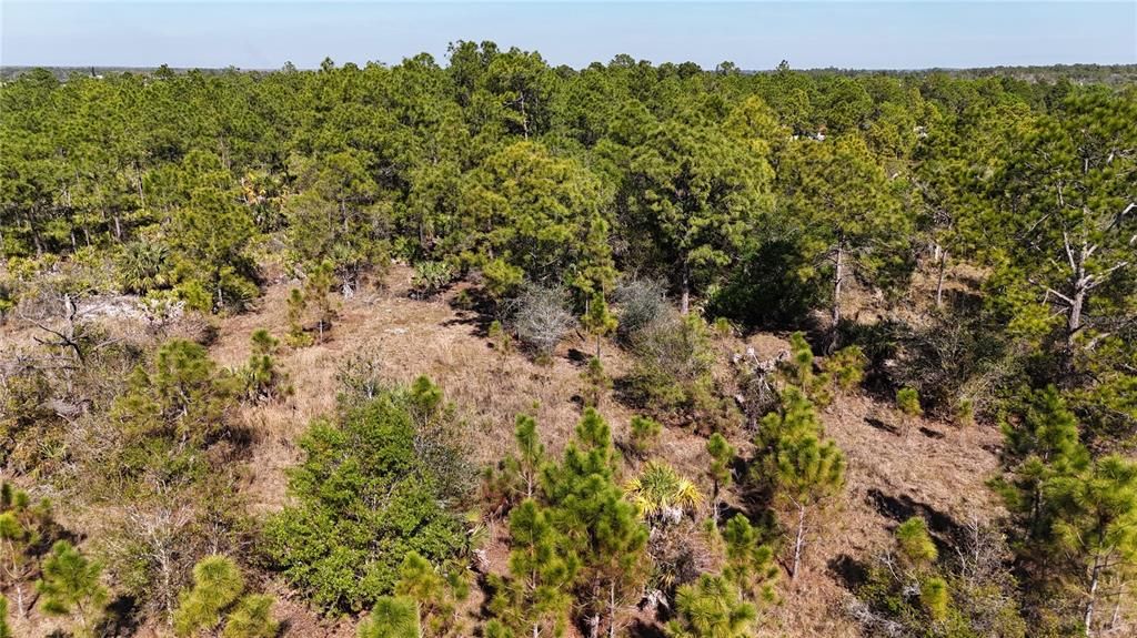 For Sale: $279,000 (5.00 acres)