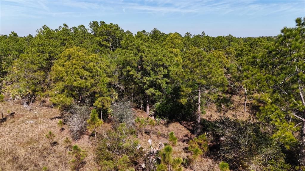 For Sale: $279,000 (5.00 acres)