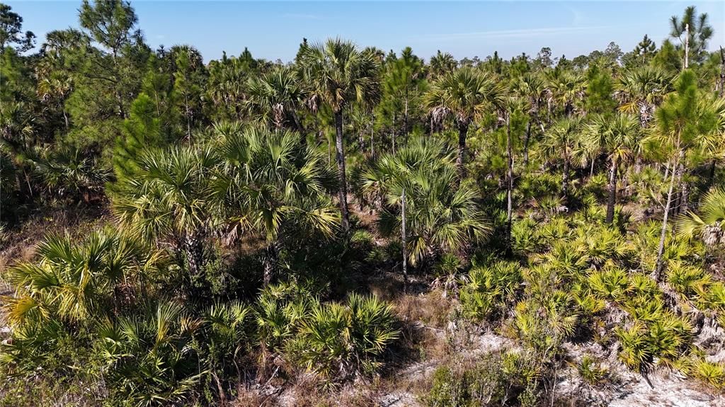 For Sale: $279,000 (5.00 acres)