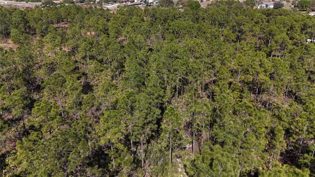 For Sale: $279,000 (5.00 acres)