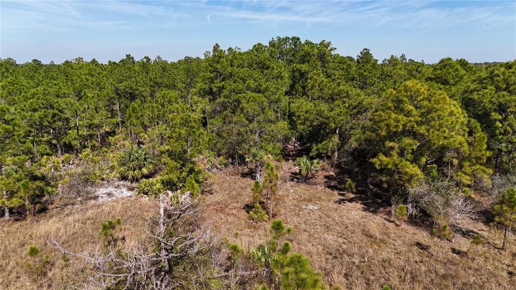 For Sale: $279,000 (5.00 acres)