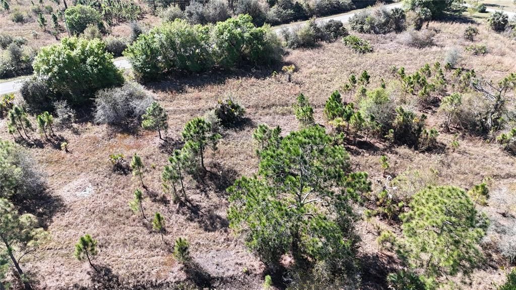 For Sale: $279,000 (5.00 acres)