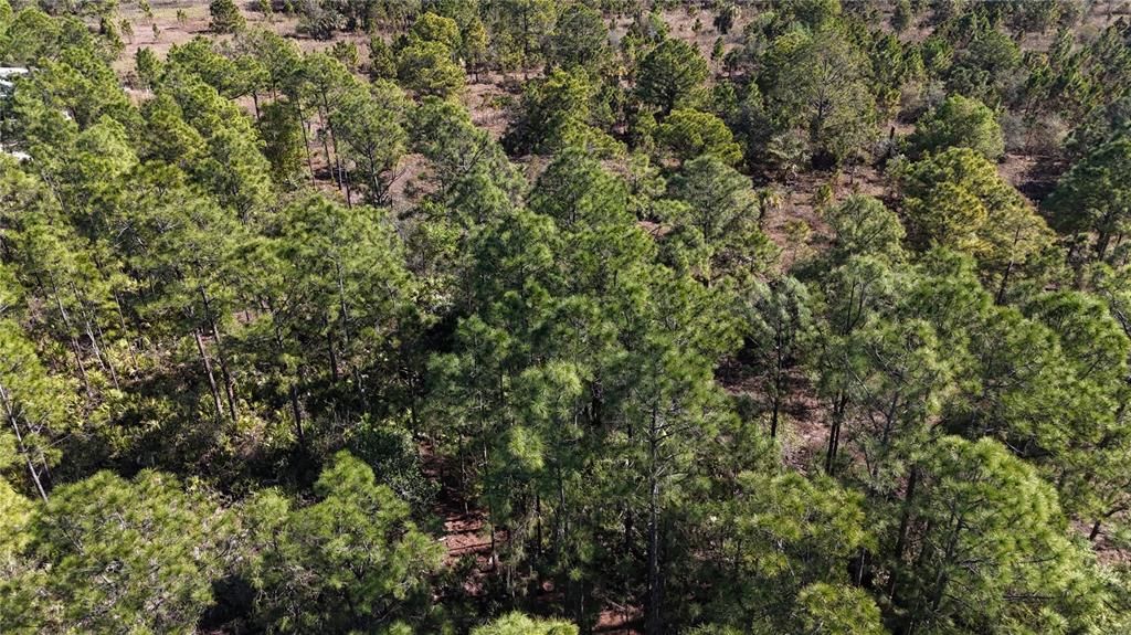 For Sale: $279,000 (5.00 acres)