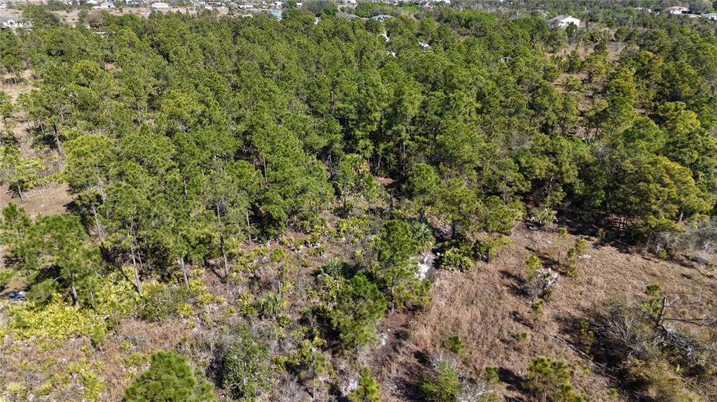 For Sale: $279,000 (5.00 acres)