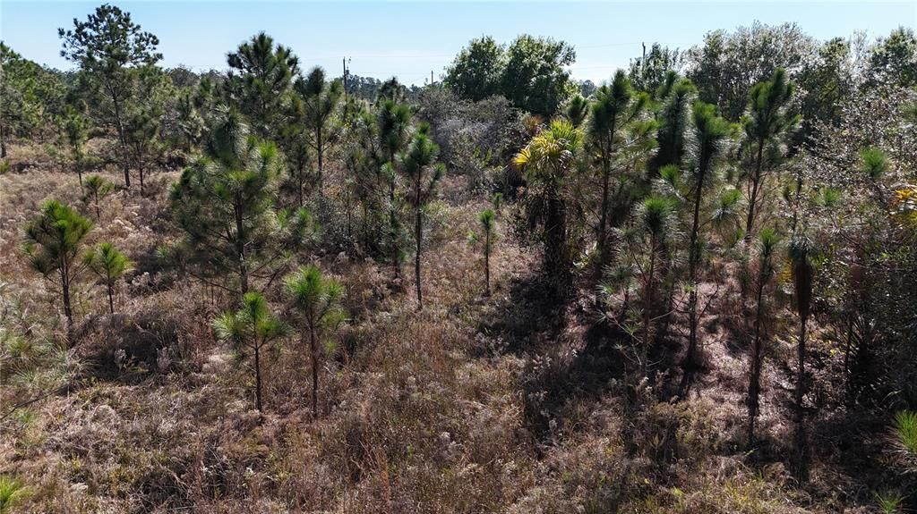 For Sale: $279,000 (5.00 acres)