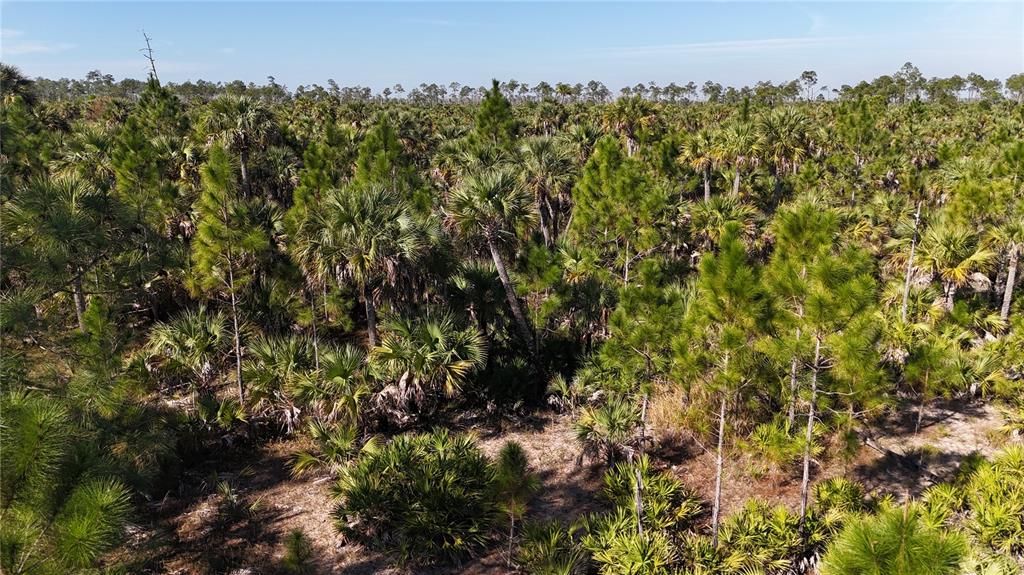 For Sale: $279,000 (5.00 acres)