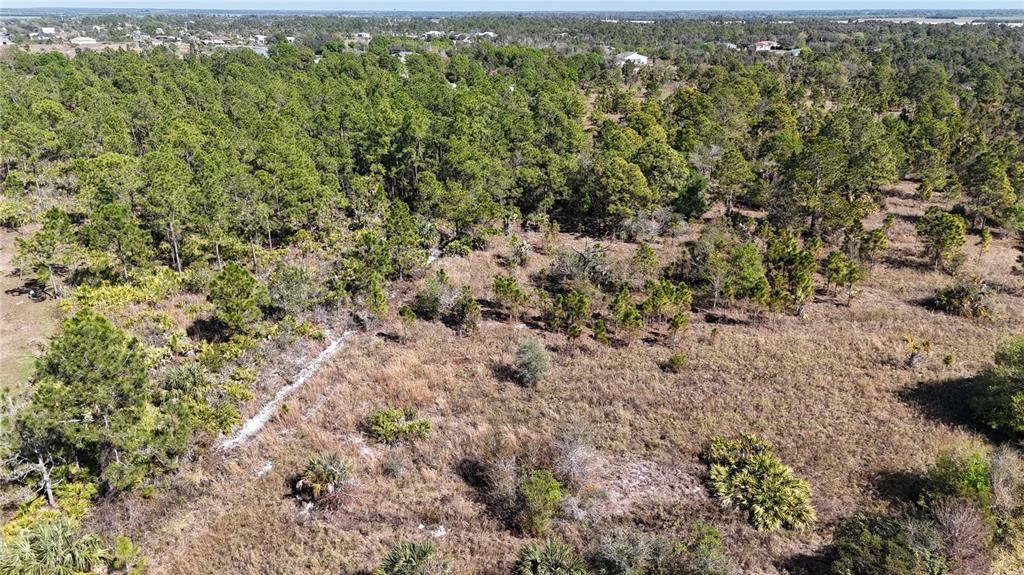 For Sale: $279,000 (5.00 acres)